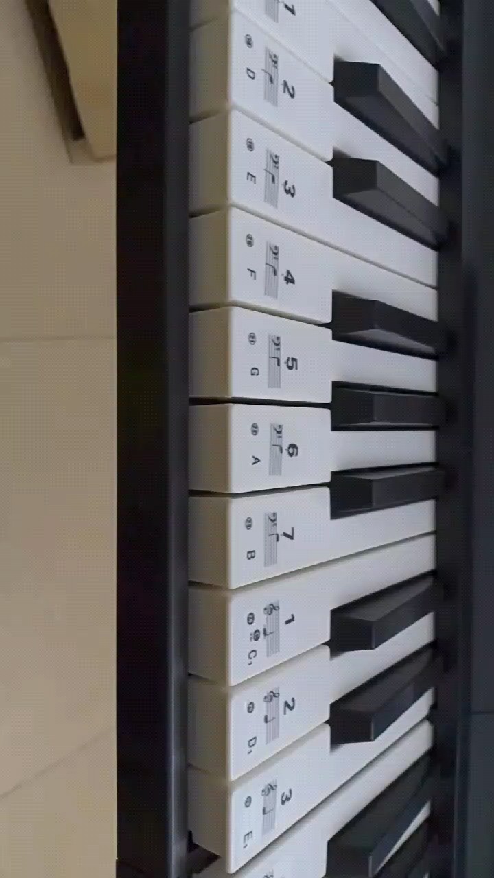 我是新手只能用一只手