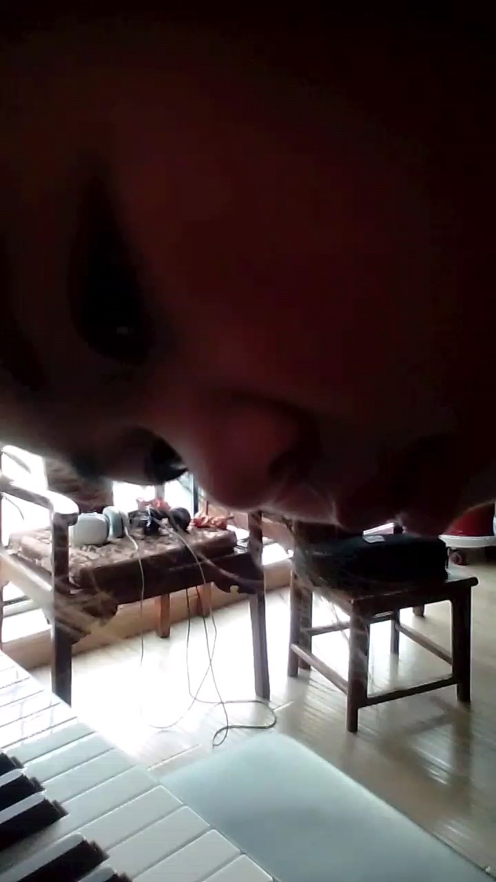 哈哈哈，八岁小孩来谈了，不是很熟，就弹了个伴奏