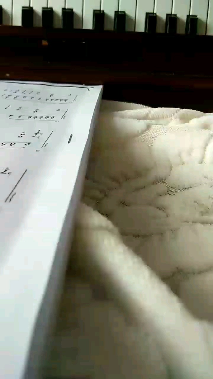 第一次弹，有些强拍，不喜勿喷
“世中逢尔，雨中逢花”
“梨花暮雨，燕归楼空”