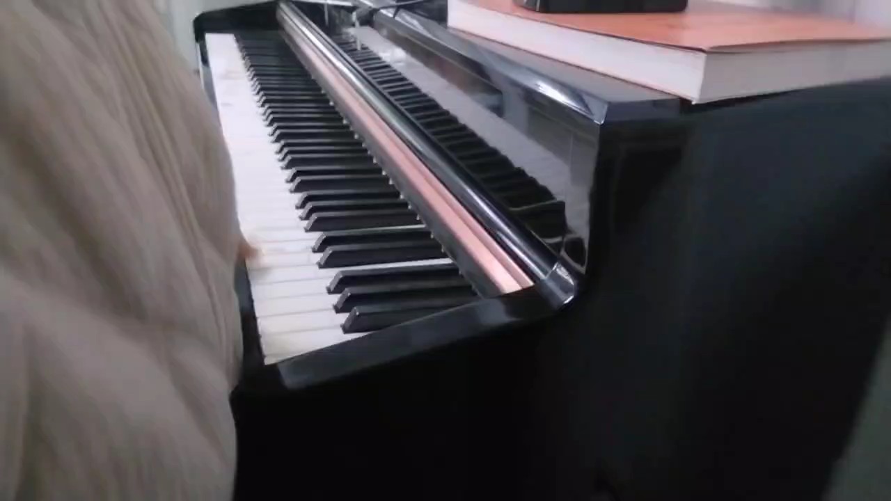 我记得我之前看一个视频，
小女孩用那个节拍器208的数字在那里弹，
这个她说好难。😂