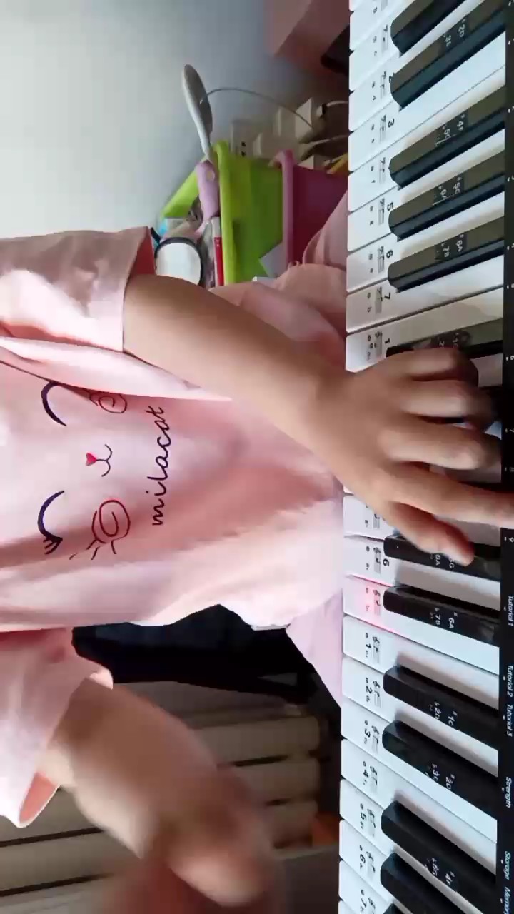 跟着琴弹的