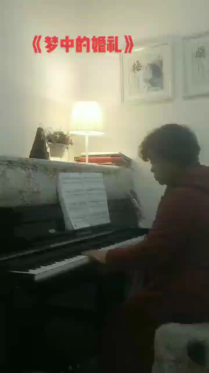 《梦中的婚礼》