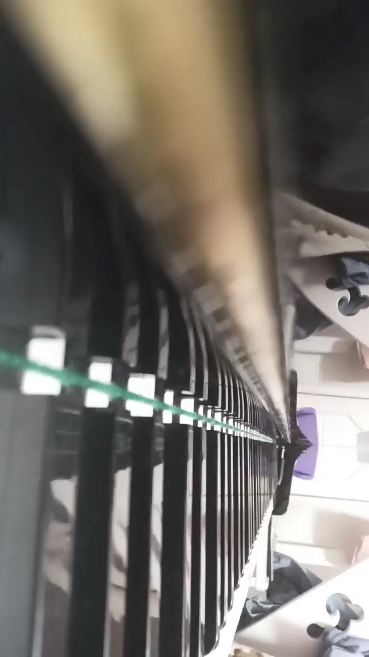 蒲公英的约定间奏