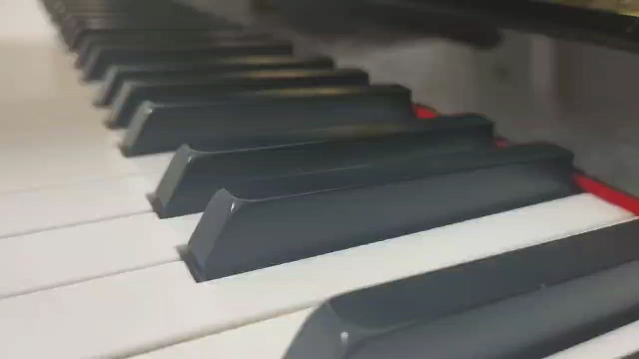 我与你！
