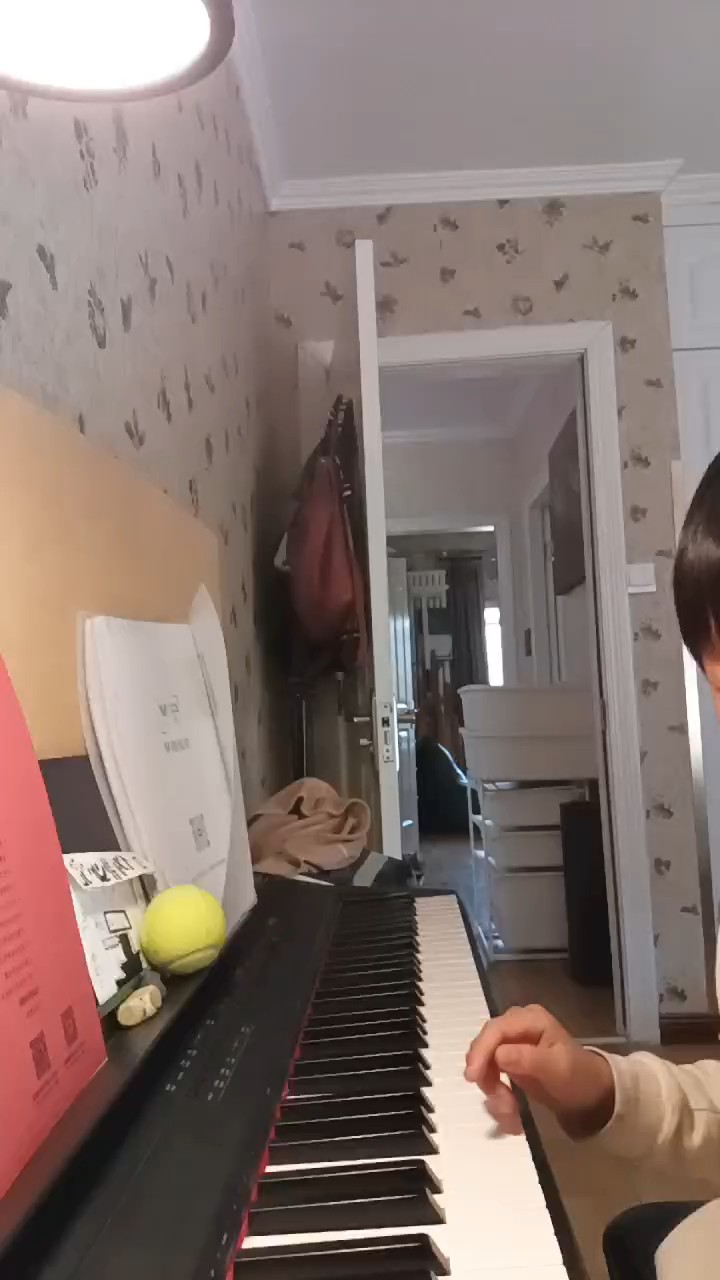 自学钢琴，弹琴不好。勿喷。