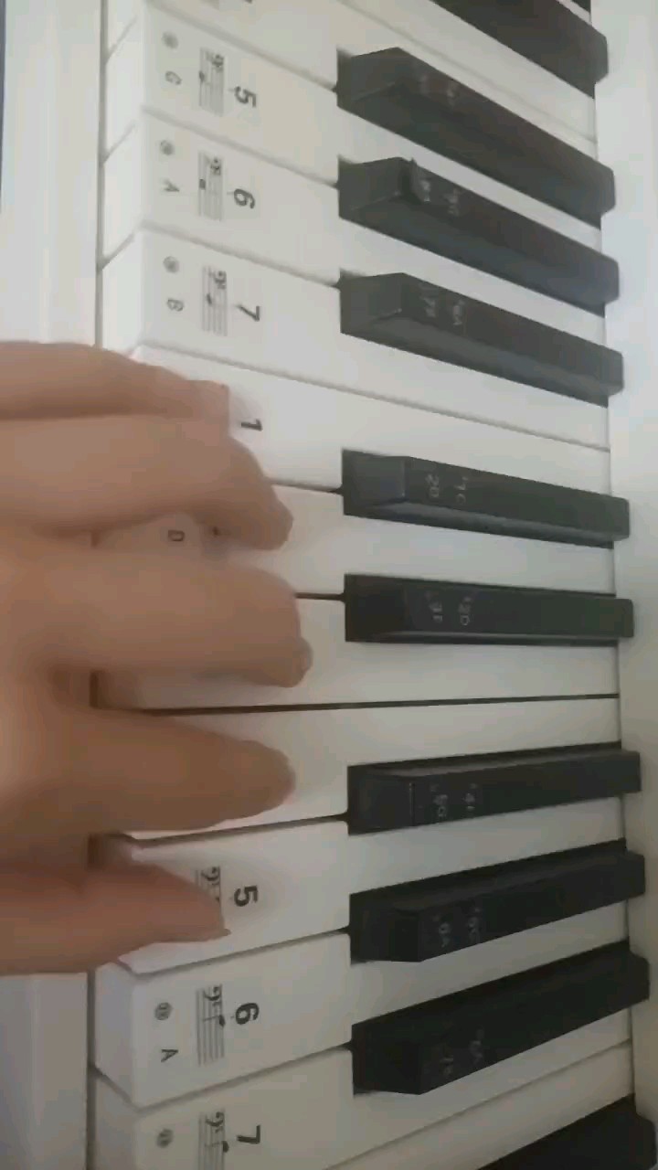 第一天练琴