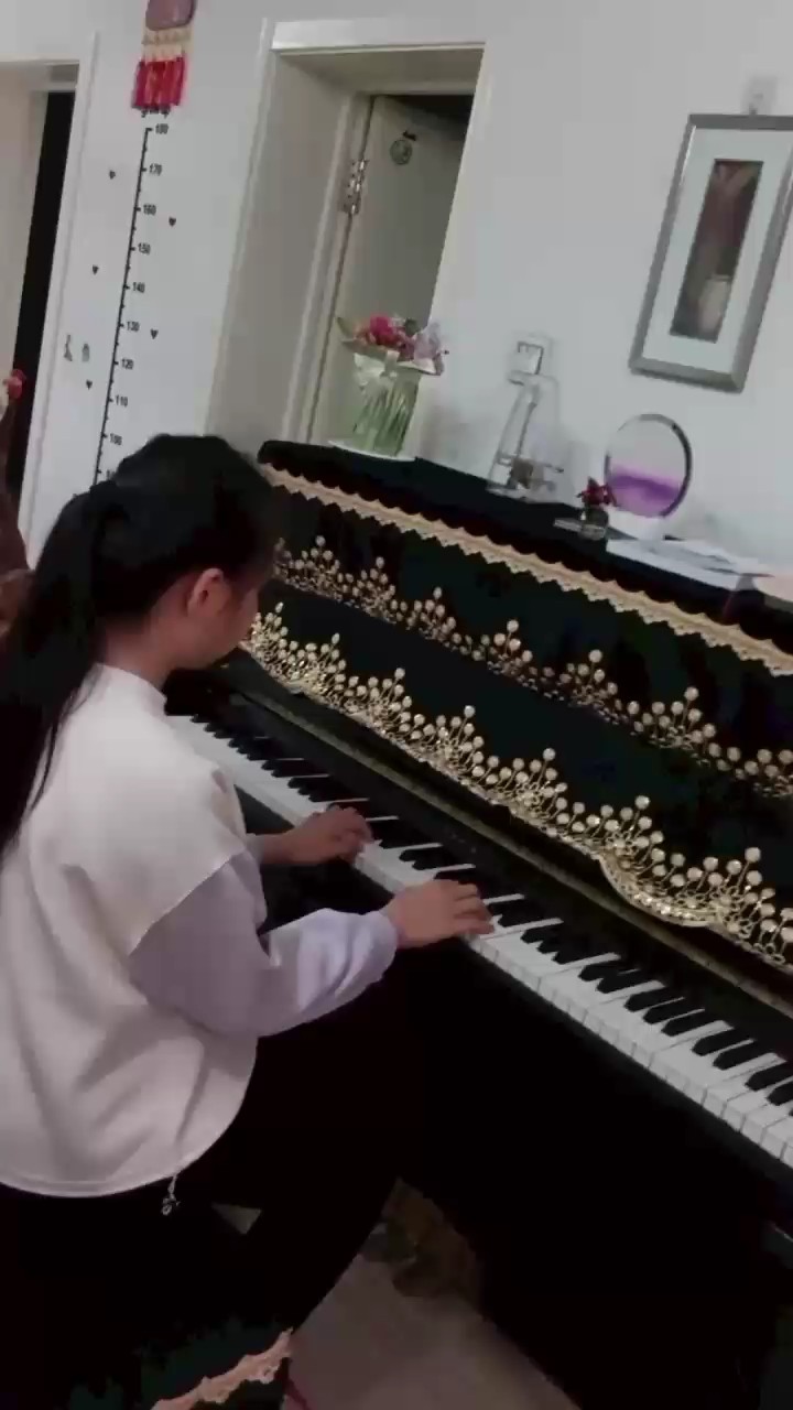 不太会弹，敬请谅解