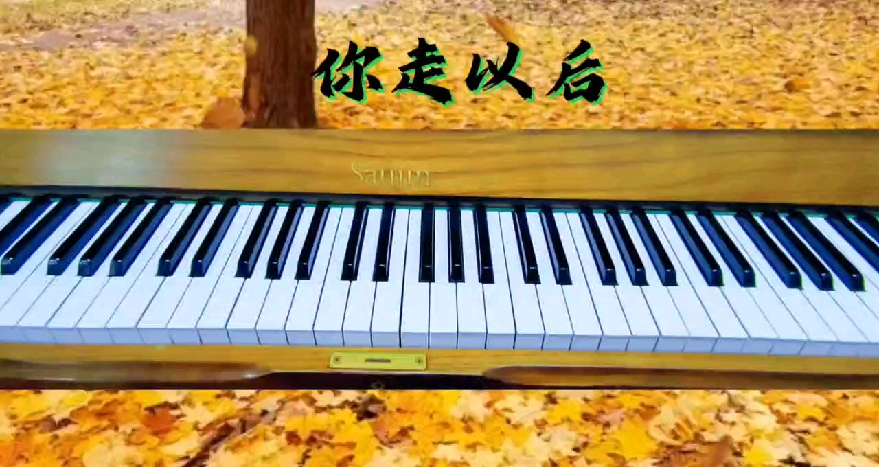 你走以后1.0钢琴谱-王恩信 二胖