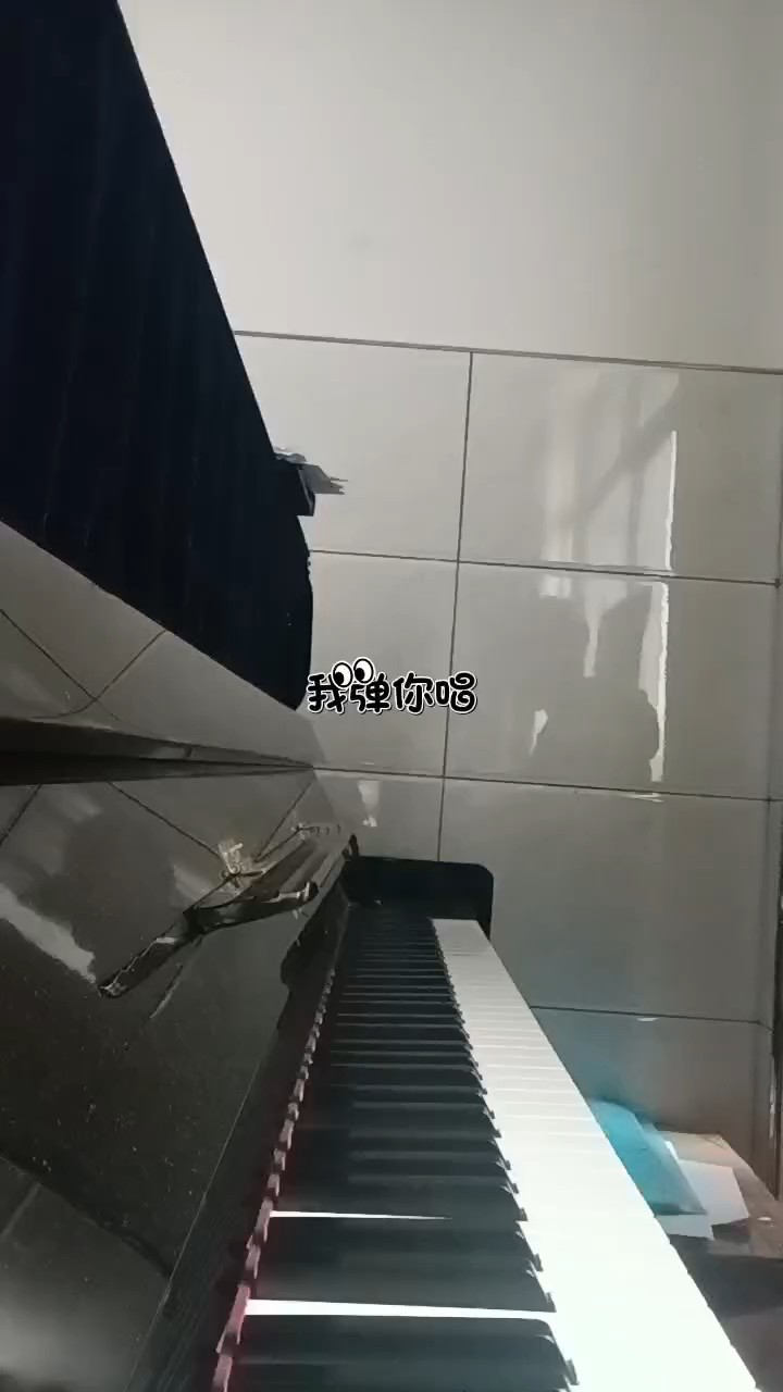 刚刚学这一段只是个伴奏