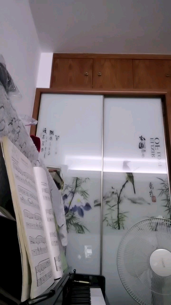 这是我第二次弹琴，因为今天看了美颜手，不知道为什么显黑了，要是想听什么就发在评论区吧