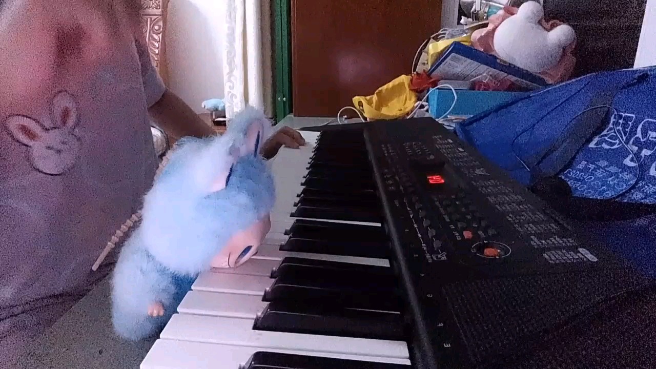 自学，只会一点，是钢琴视频哦，审核快点给我过。