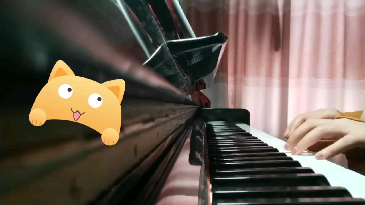 跳呀嘛不动🐱