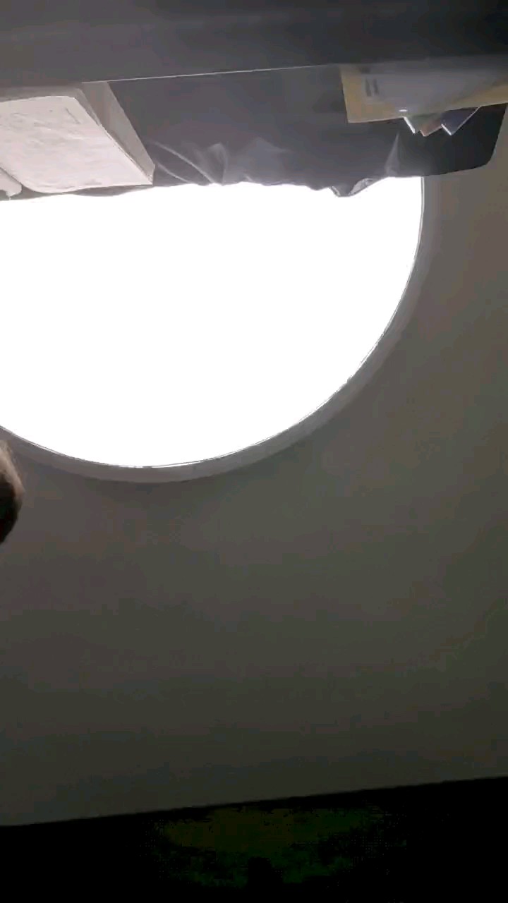 有点不熟