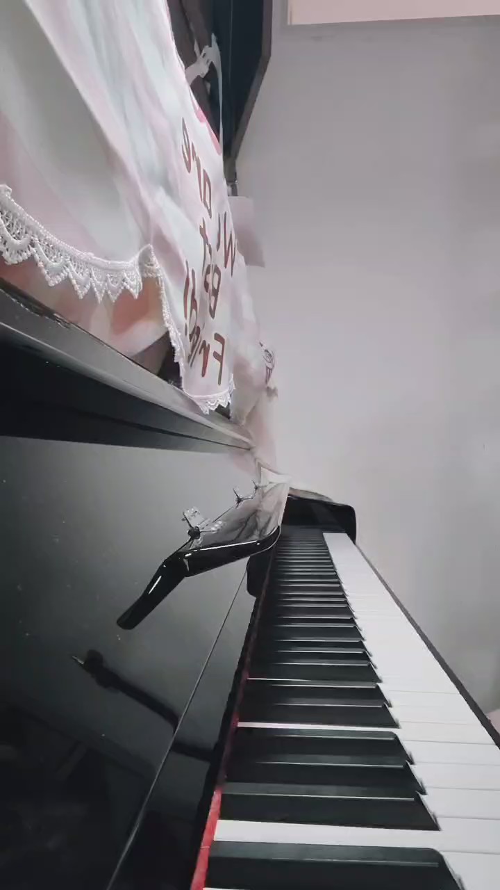 和你漫步在东京樱花的街头