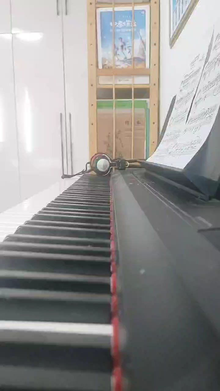 技艺不精，错音挺多，求指导