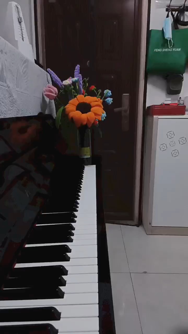 嗯，第一次录视频录的不太好，有很多错音，请包容❤❤❤好像是luvsic，第一个是花之舞，第二个是Windy hill，第三个是星茶会，下一个是夜萤火虫和你，下一个是夜萤火虫和你的降调版，后面两首曲子其实我也不知道叫什么🙏感谢点赞