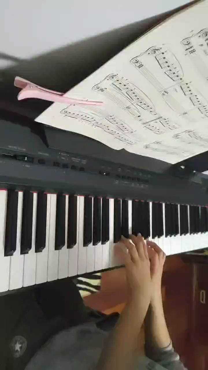 綱