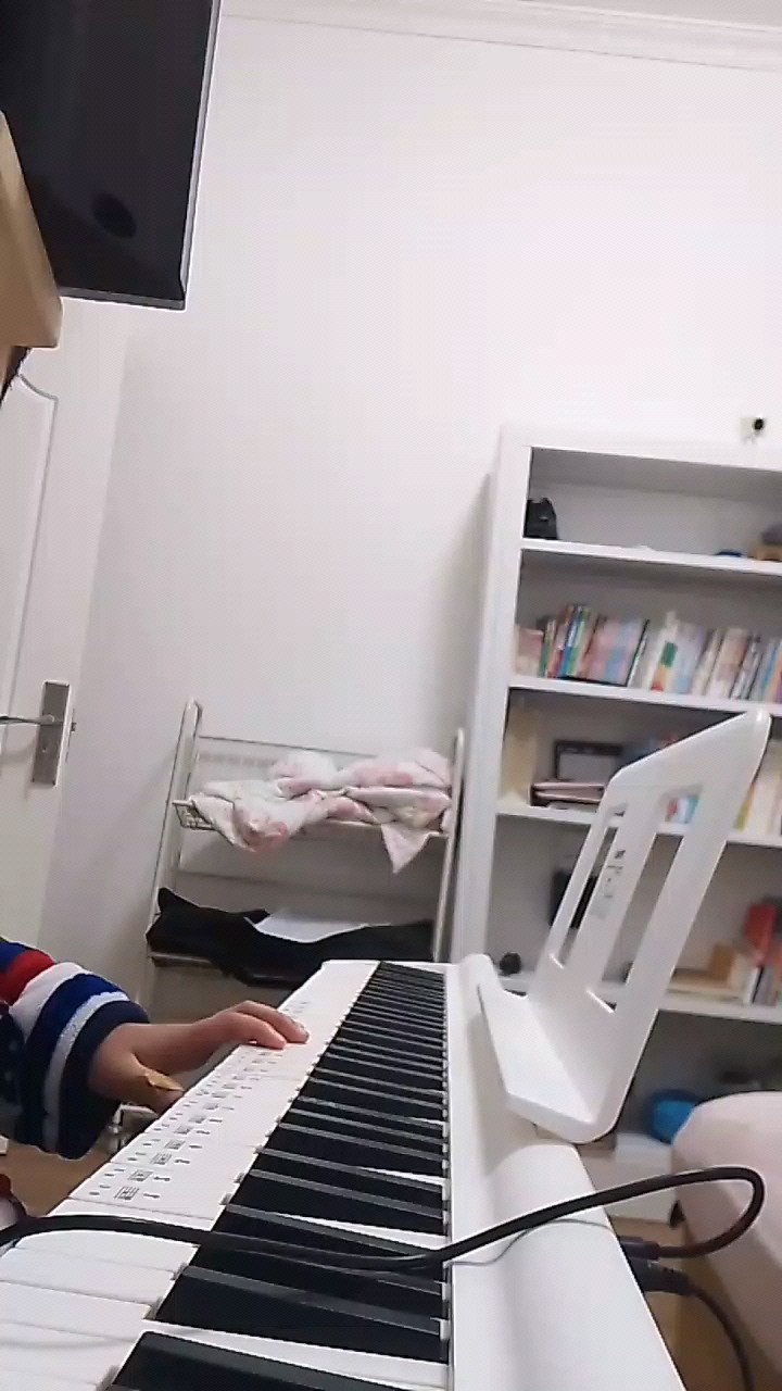 新手