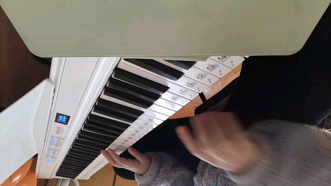 自学第一天，弹的不好，请见谅(´இ皿இ｀)下期搬运，可以投稿¦•ˇ₃ˇ•｡)，我会尽量满足