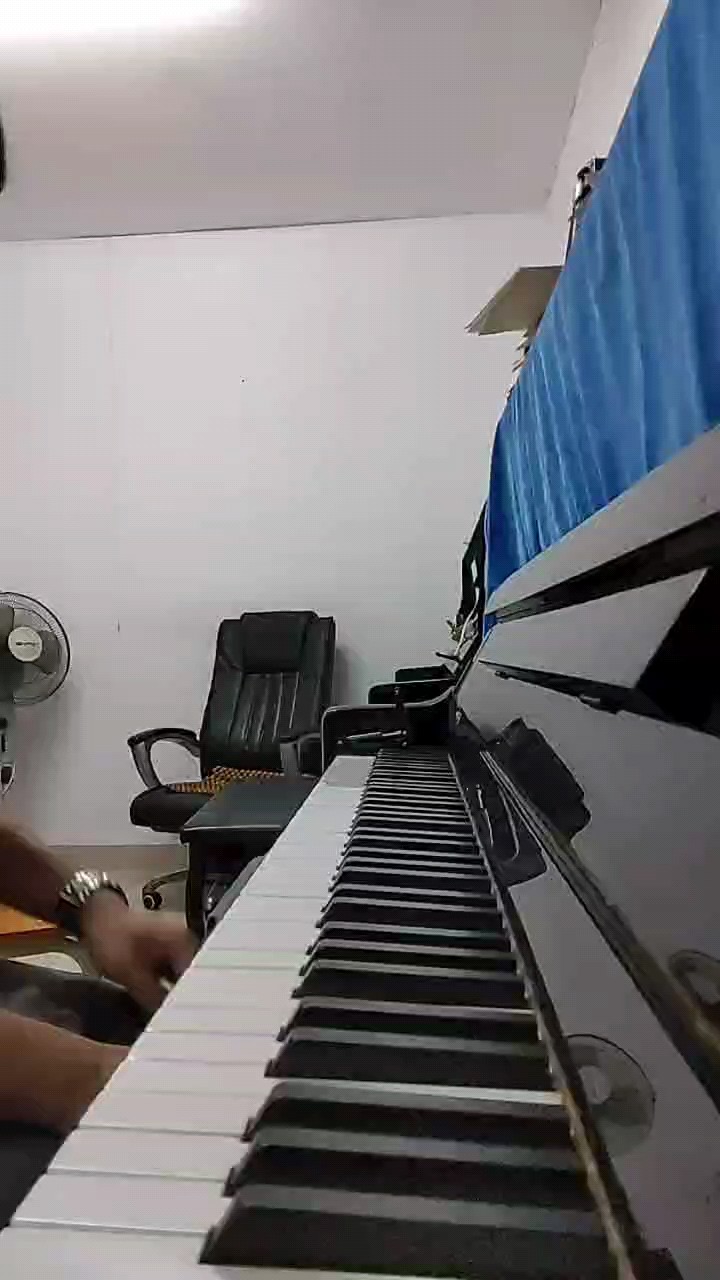梦中的婚礼