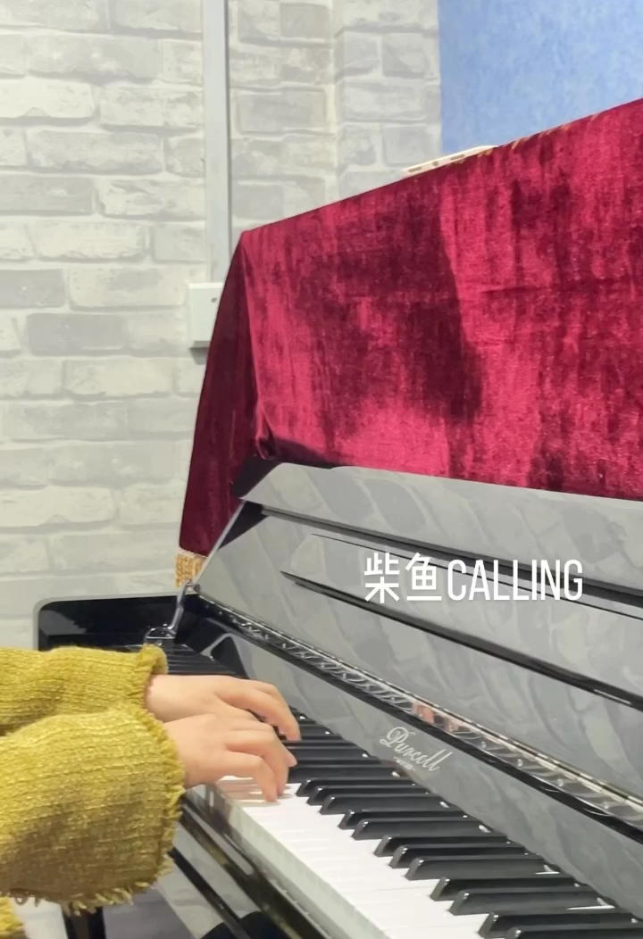 柴鱼のCalling钢琴图片