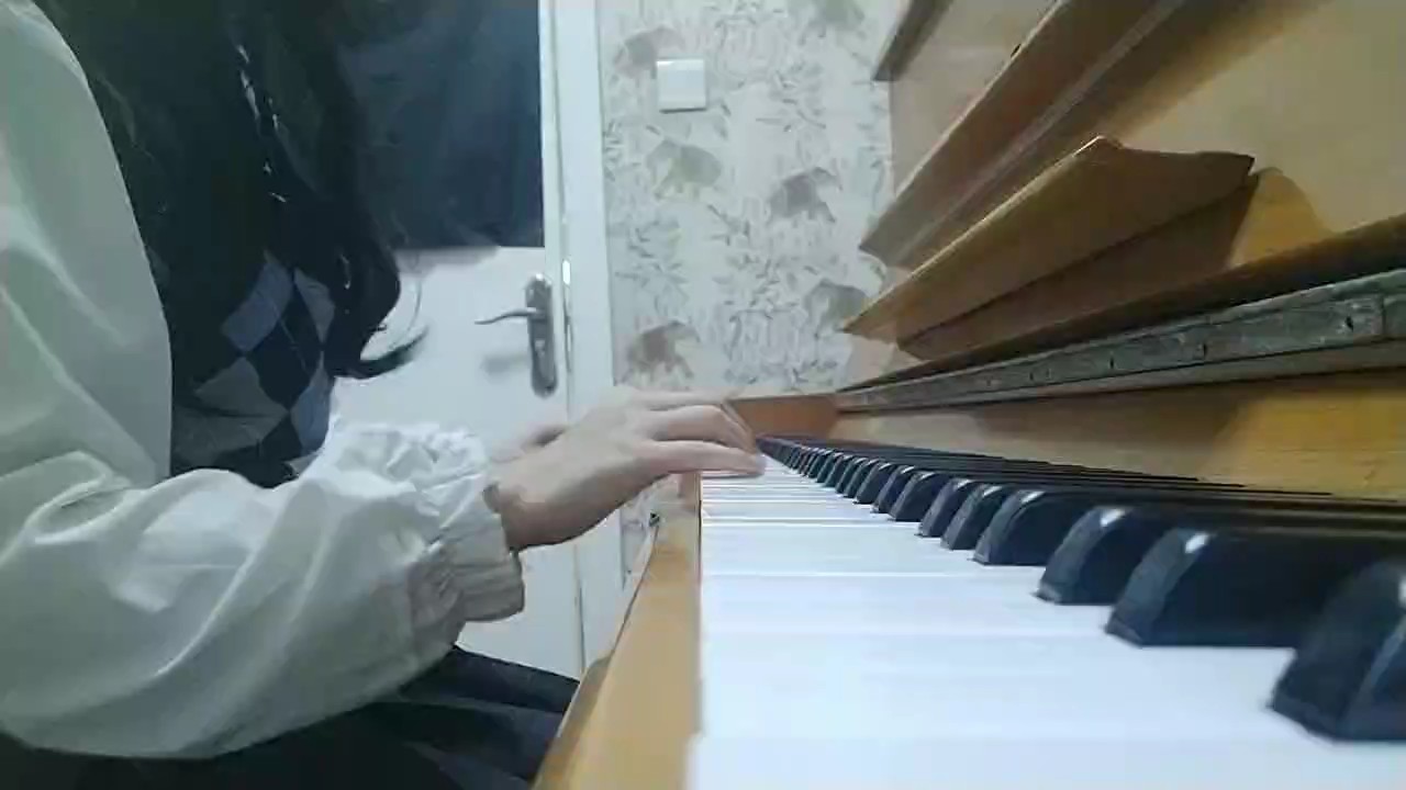 新手