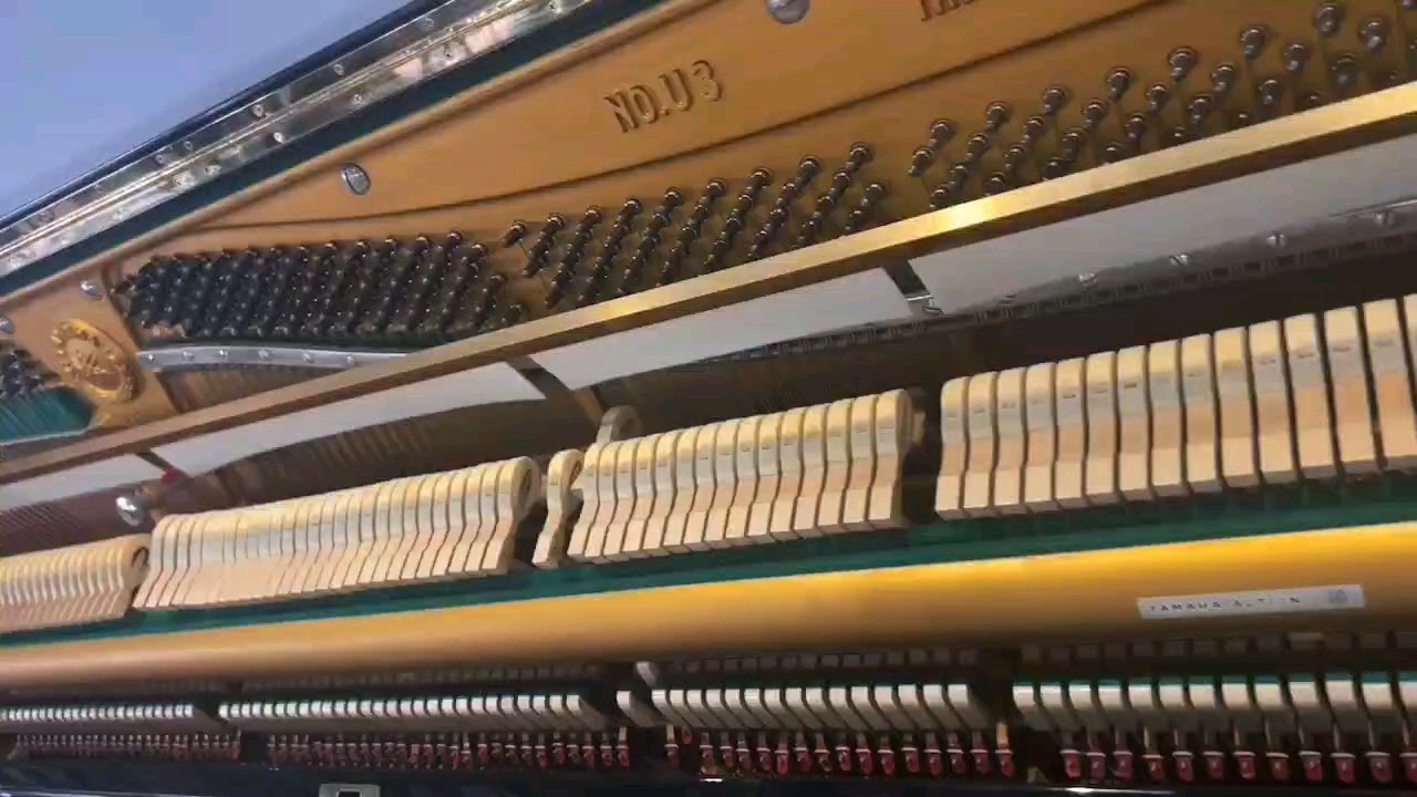 兮兮