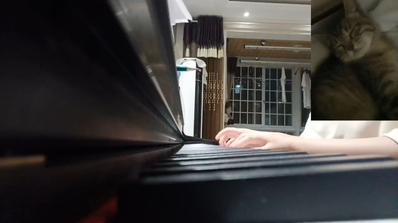 改了下谱子，原谱我弹不了。希望各位喜欢😍