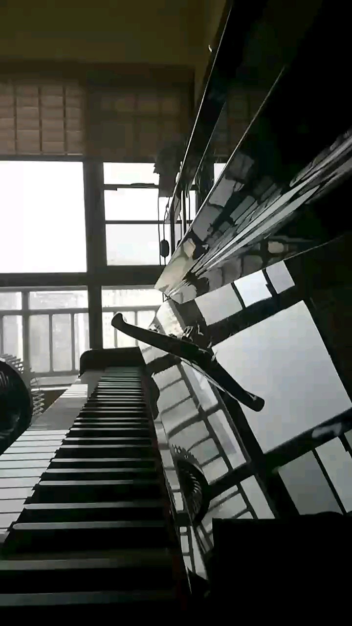 这首曲子比较难，没有摸完，以上是我的视频，希望大家都喜欢，谢谢！