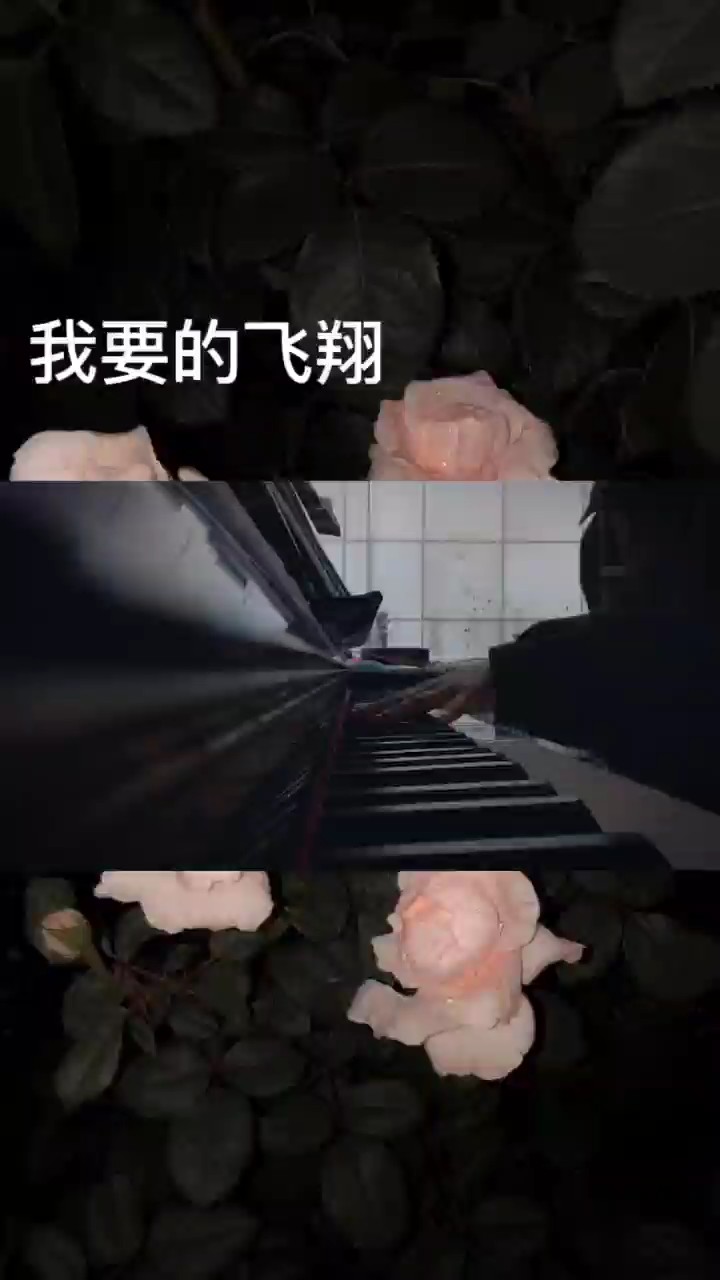 那就说再见叭！