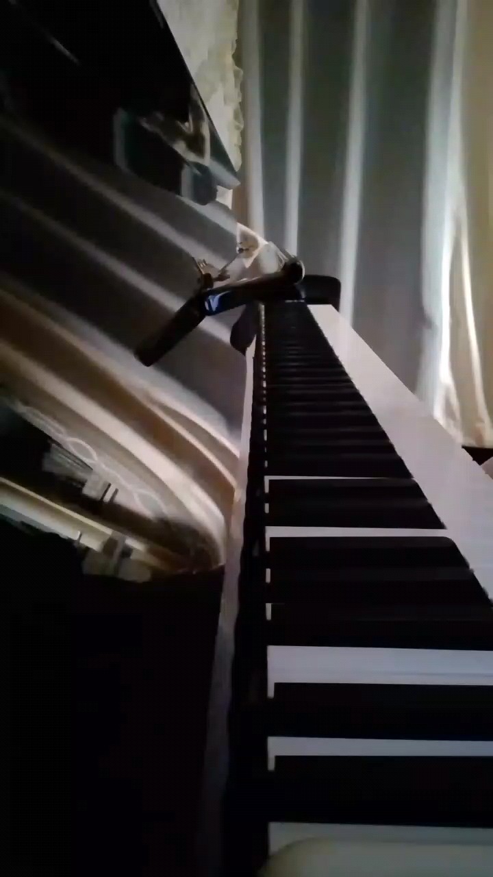 只谈了一点点，开头有点错音，请见谅。( •̥́ ˍ •̀ू )