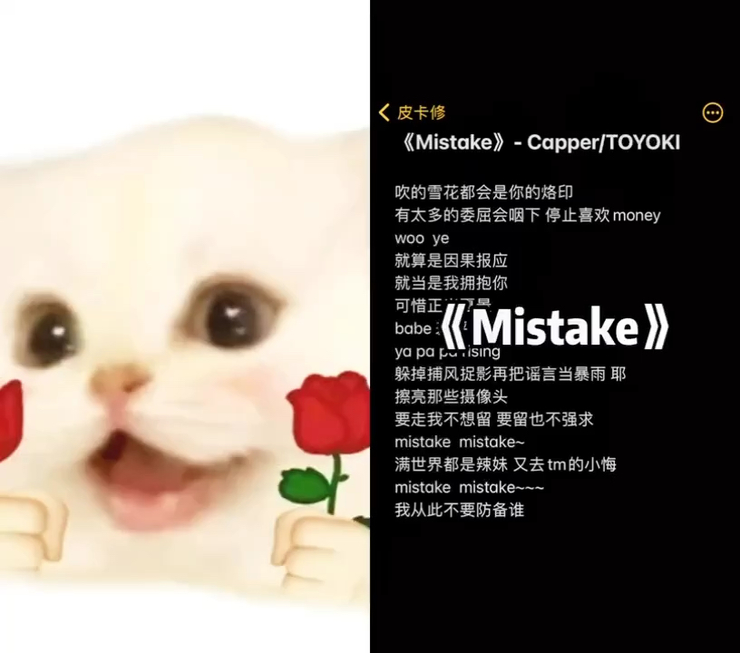 mistake 没啥想说的了