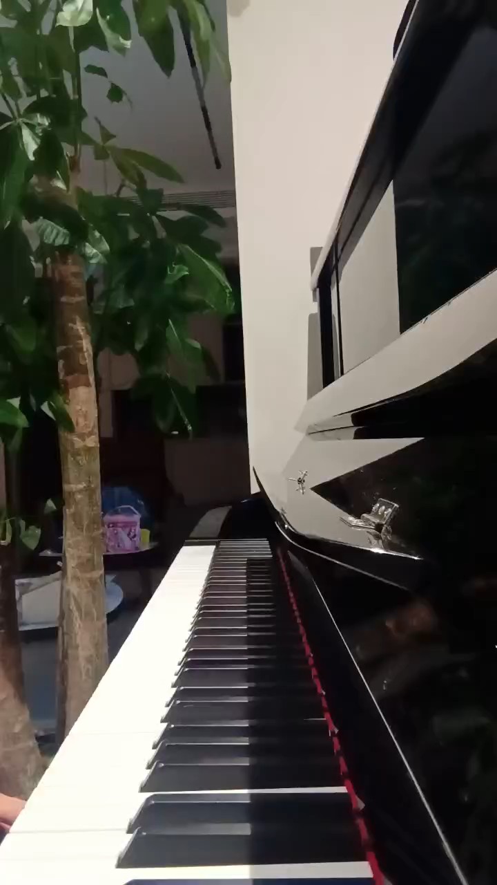 想和你回到那个夏天