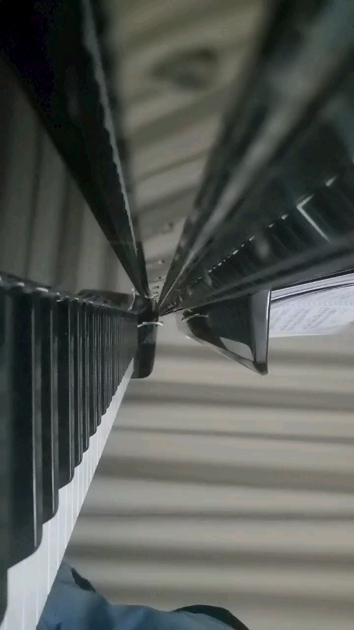 有些地方不是很熟，感觉效果不是很好，谱子本身有难度，如果时间不是很足的话，建议换个版本（比如我）