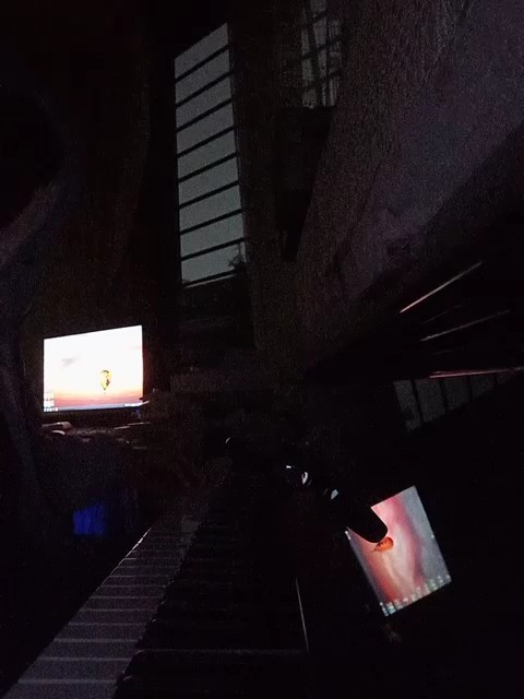 像我们的纠葛，腐烂成沼泽