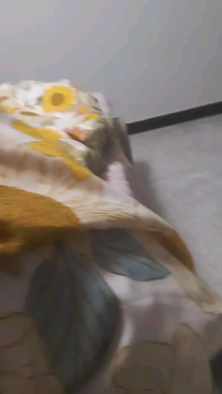 声音有些小，建议声音开大点，不喜勿喷，作者还只是一位小学生，如果不好听作者向你道歉        审核你是世界上最最最最最最最最最最最最美丽的人