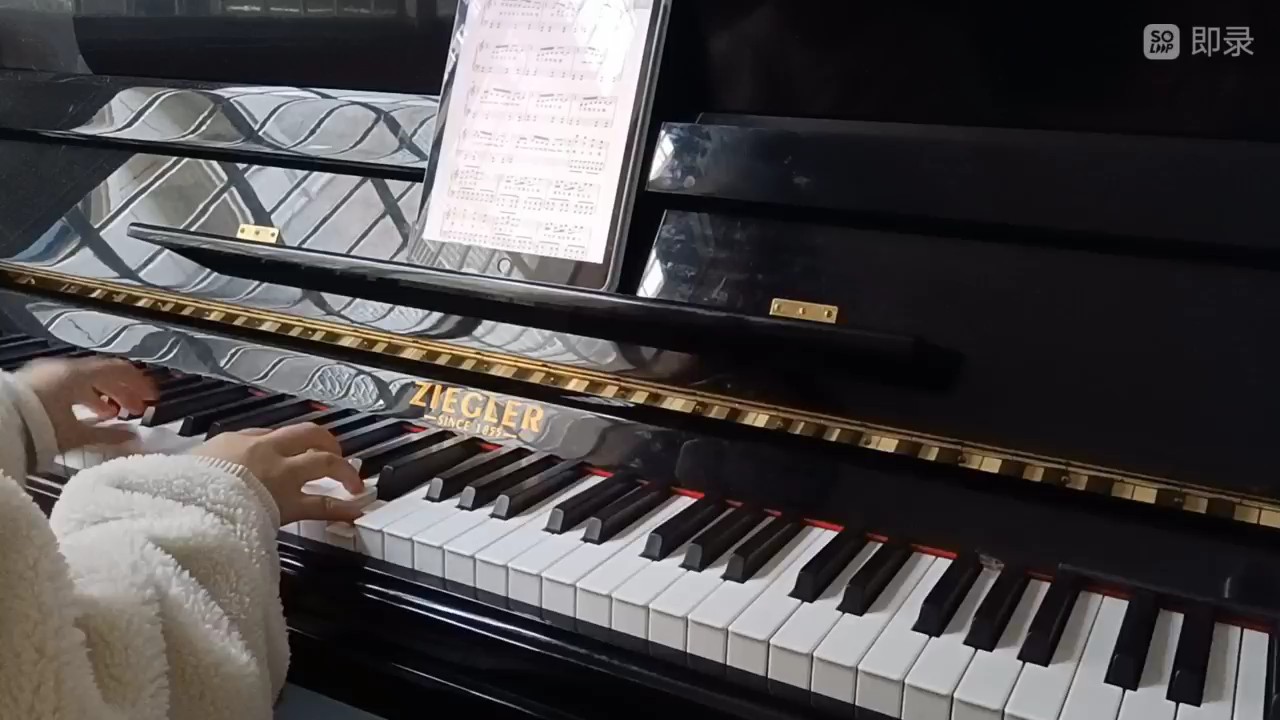 玫瑰少年