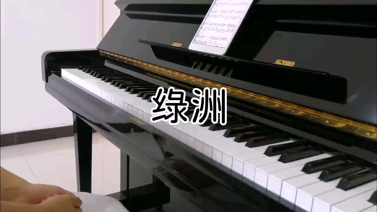 绿洲 - 徐佳莹 精简版 原调b钢琴谱演奏