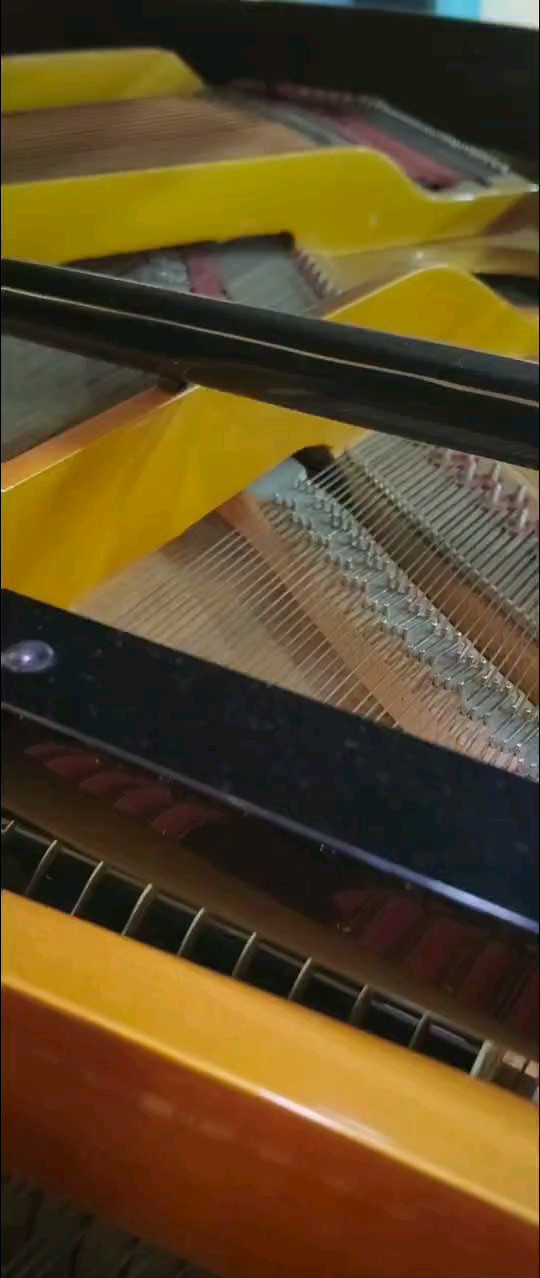 🌪⛈🍃💨💦🎼🎹🎵🎶我在那一角患过伤风🤧🎵🎶🎶🎶