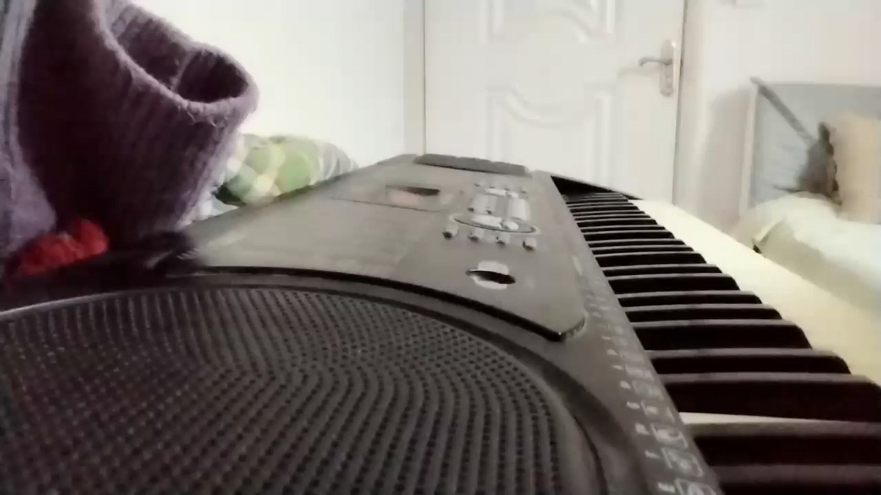 后面全忘了😢我是自学的钢琴五年了