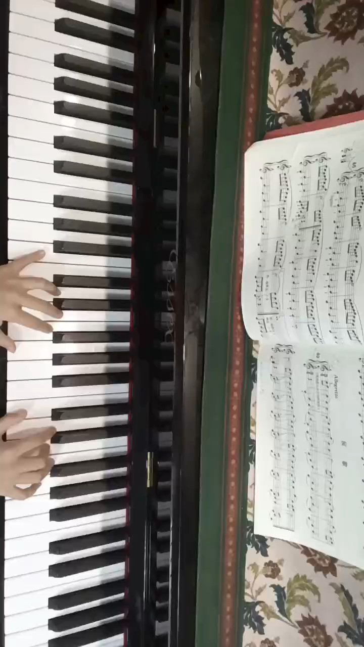 拜厄49条民歌！有错音！