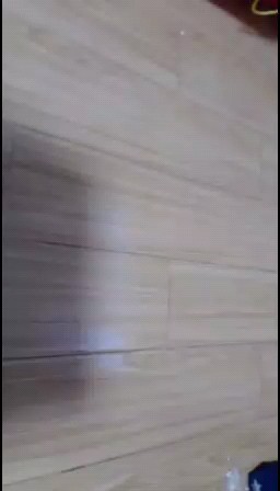 趁你们不注意， 偷偷摸摸更新😎