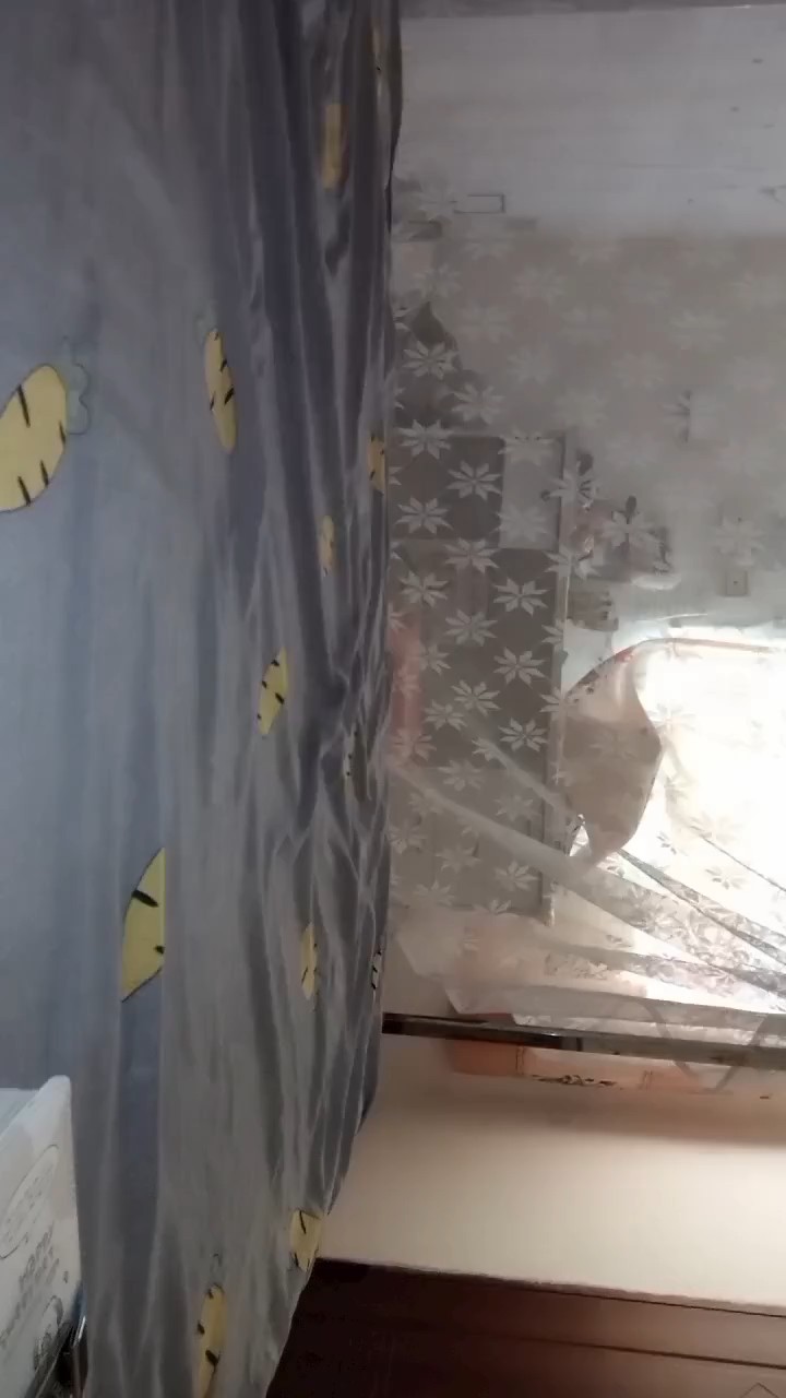 献鱼