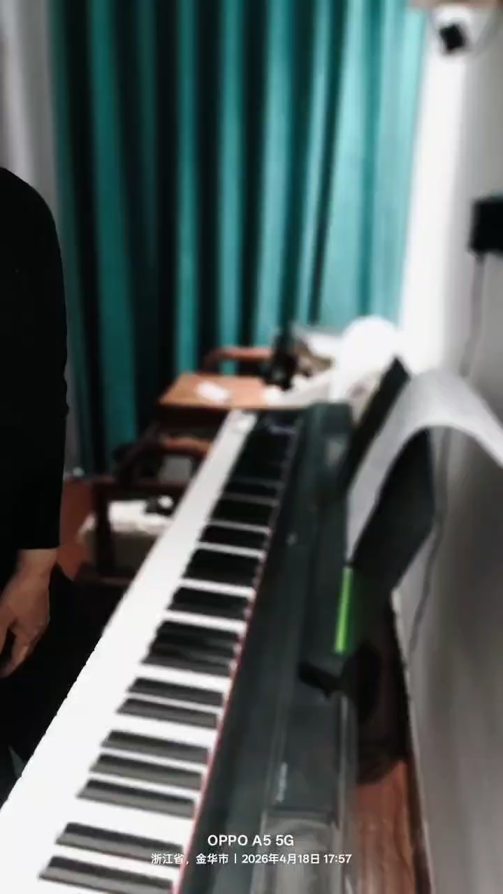 这首曲子太好听了，我是初学者。