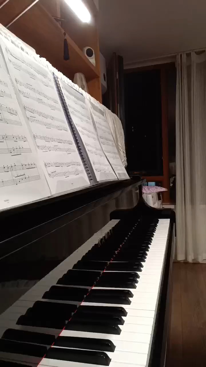 有点错音~