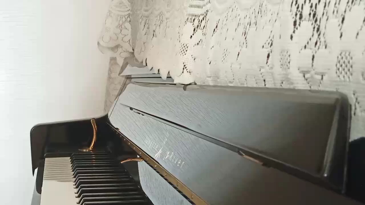 没有按这个谱子弹