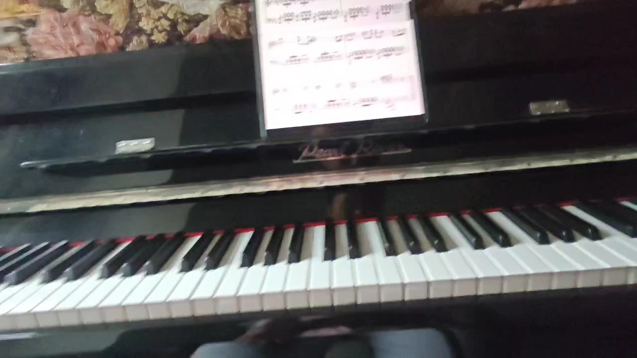 大调转杜杰，游乐场走向地狱😆