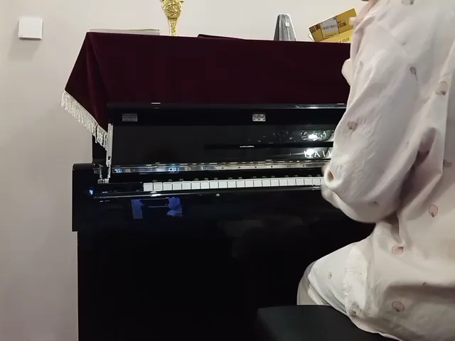 这曲子中还是有很多错音，希望大家谅解一下，以后会多加改进！