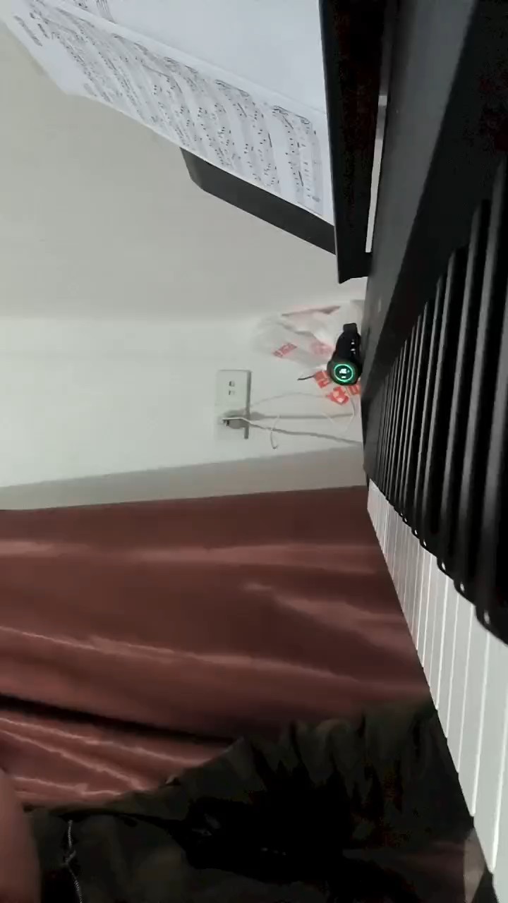 记录学琴