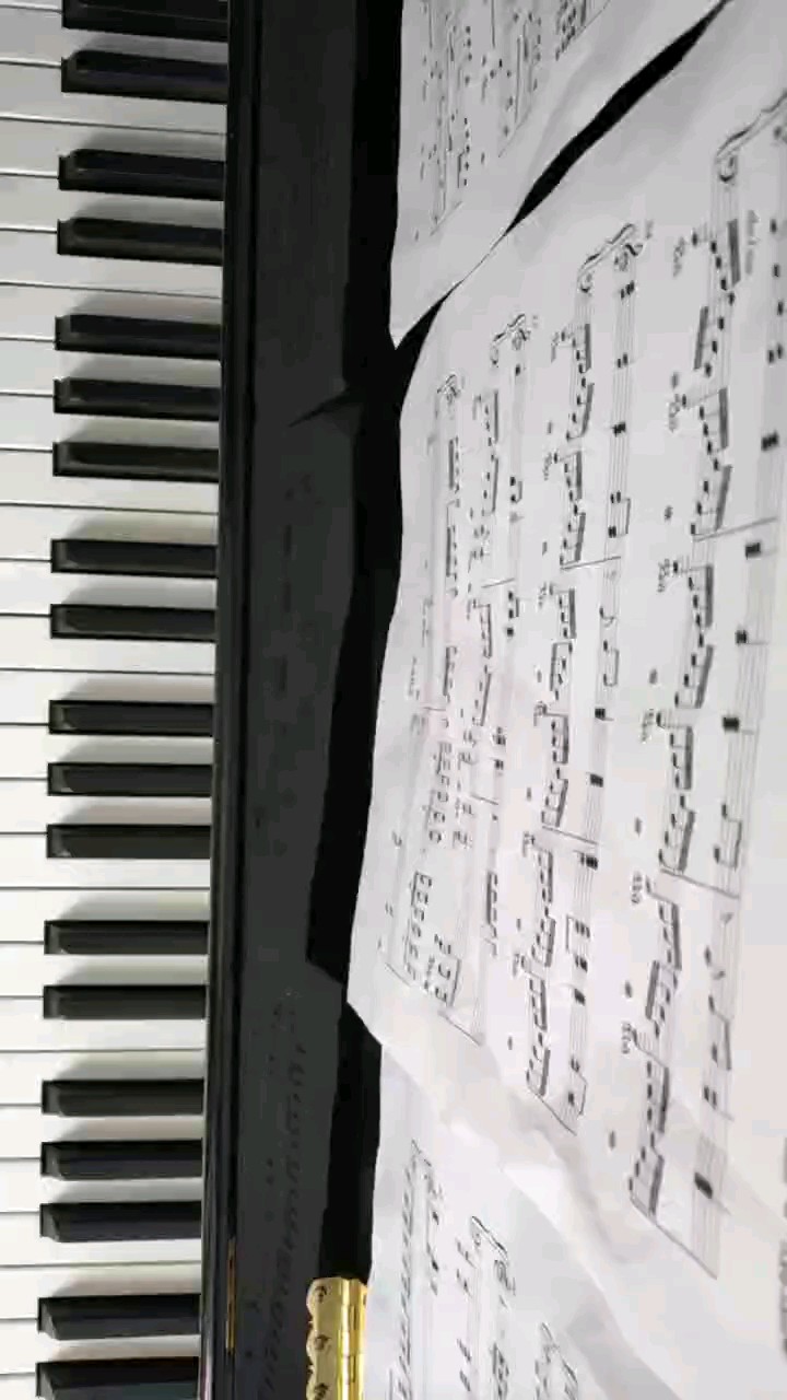 《鋼鐵洪流進行曲》練了好久還是彈錯音，見諒啊??